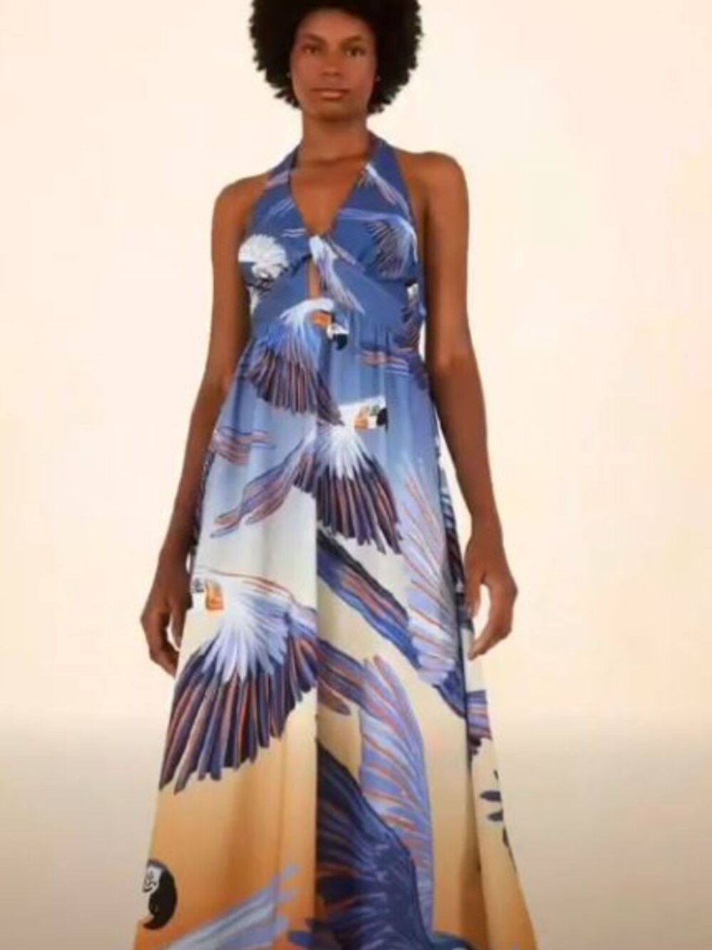 FARM Rio Night Fly Cropped Maxi sz M NWT